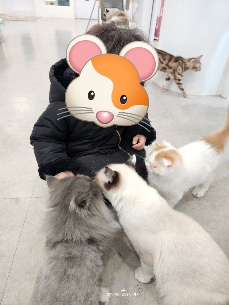 안산 쥬니멀 아이랑 실내동물원 동물체험카페