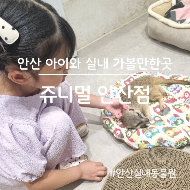 안산 아이와 실내 가볼만한곳, 쥬니멀(안산실내동물원)