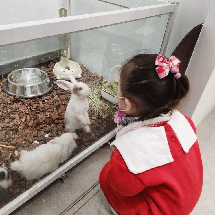 안산실내동물원 쥬니멀 아이 데리고 가기 좋은 카페