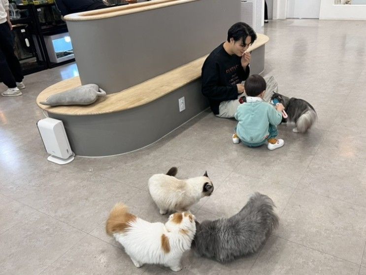 안산 실내동물원 : 아이랑 같이 갈만한 쥬니멀 동물카페
