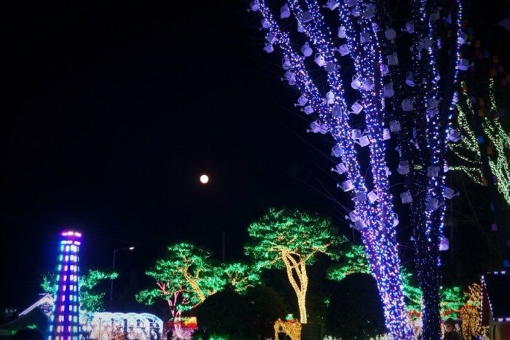 안산 별빛마을::별빛축제