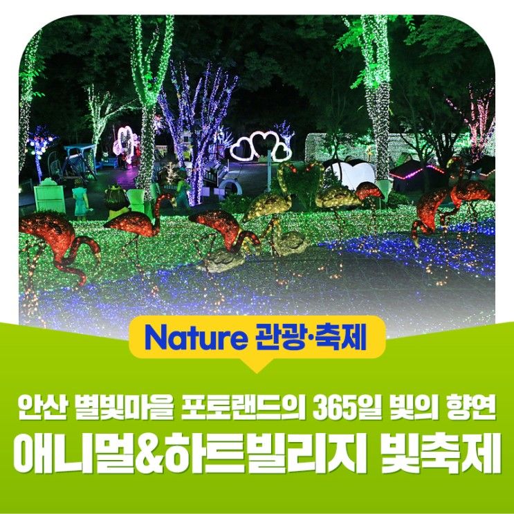 안산 별빛마을 포토랜드의... ‘애니멀&하트 빌리지 빛 축제’