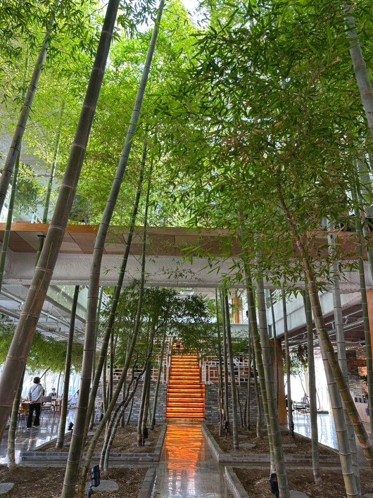 의정부 카페 국립공원 :: 쾌적한 실내 대나무숲 대형 식물카페