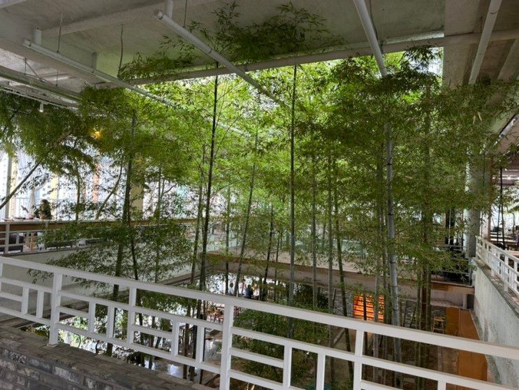 카페] 도심 속 대나무숲에서 힐링하기 좋은 공간, 카페 "국립공원"