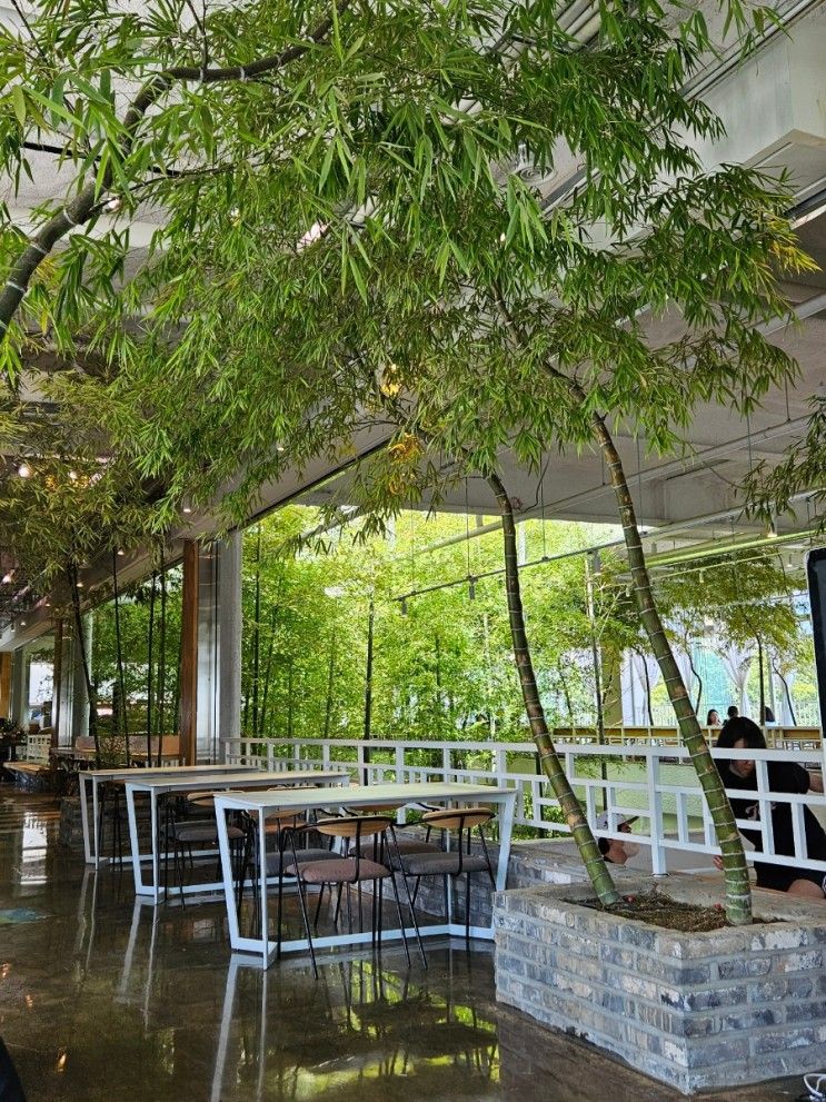 [의정부] 신상카페⚡, 카페국립공원(cafe 국립공원)
