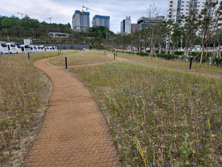 단대오거리역 제1공단근린공원,희망대공원 가보기