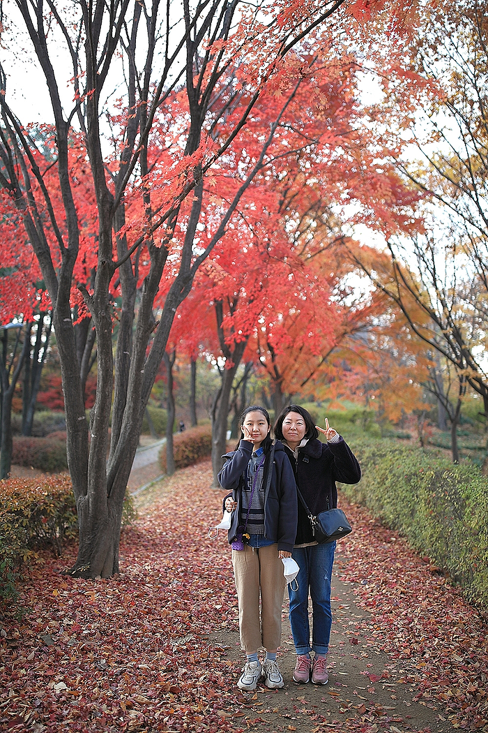 [경기여행]성남 단풍 구경 희망대공원