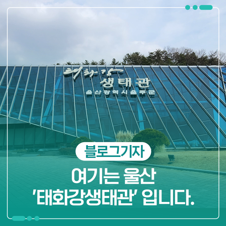 여기는 울산 '태화강생태관' 입니다.