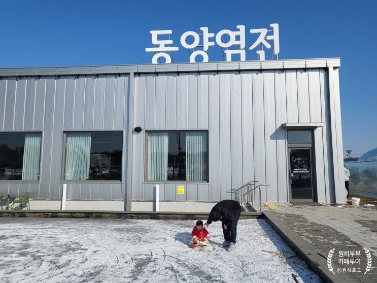 인천 을왕리 동백꽃길 명소, 아기랑 "동양염전 베이커리카페"