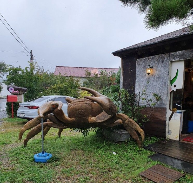 속초 아이와 가볼만한 이색체험 실내관광지 테라크랩팜