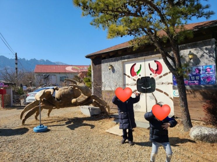 [속초 아이와 갈만한 곳] 테라크랩팜, 게 체험, 황토공방체험관