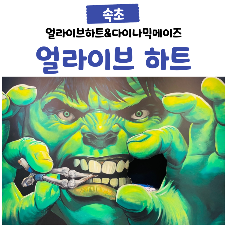 얼라이브하트. 다이나믹메이즈. 할인과 입장료. 속초 실내...