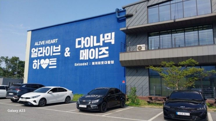 (내돈내산) 초등 속초 가볼만한 곳 ~ 얼라이브 하트와...