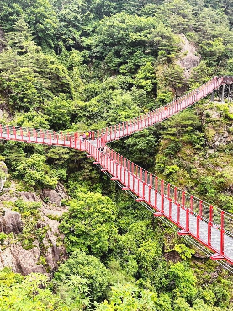 [경남 거창 여행] 거창 항노화 힐링랜드, 우두산 Y자 출렁다리