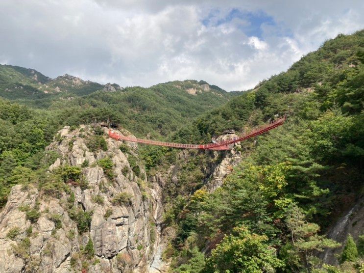 거창 항노화힐링랜드... 무장애 산책로 까지 힐링장소추천!