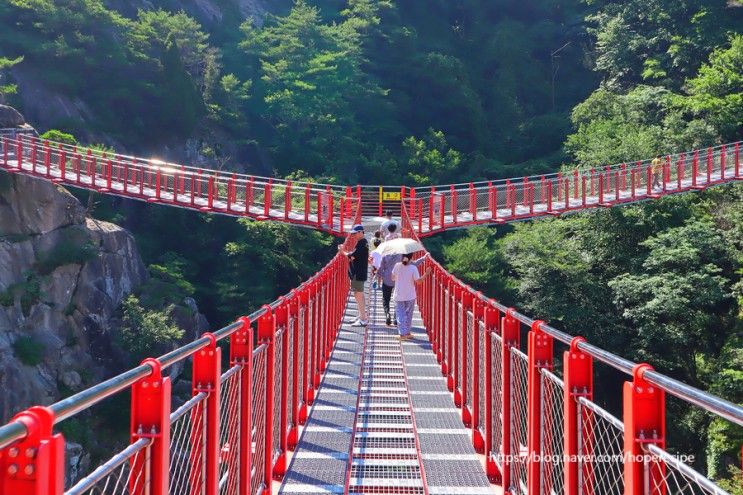 거창 가볼만한곳 우두산 y자형출렁다리 거창항노화힐링랜드...