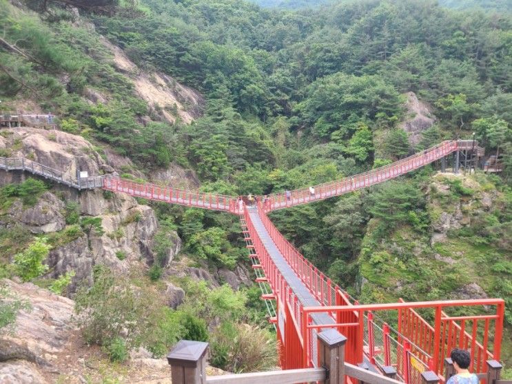 거창항노화힐링랜드 거창가조y자출렁다리 다녀온 후기...