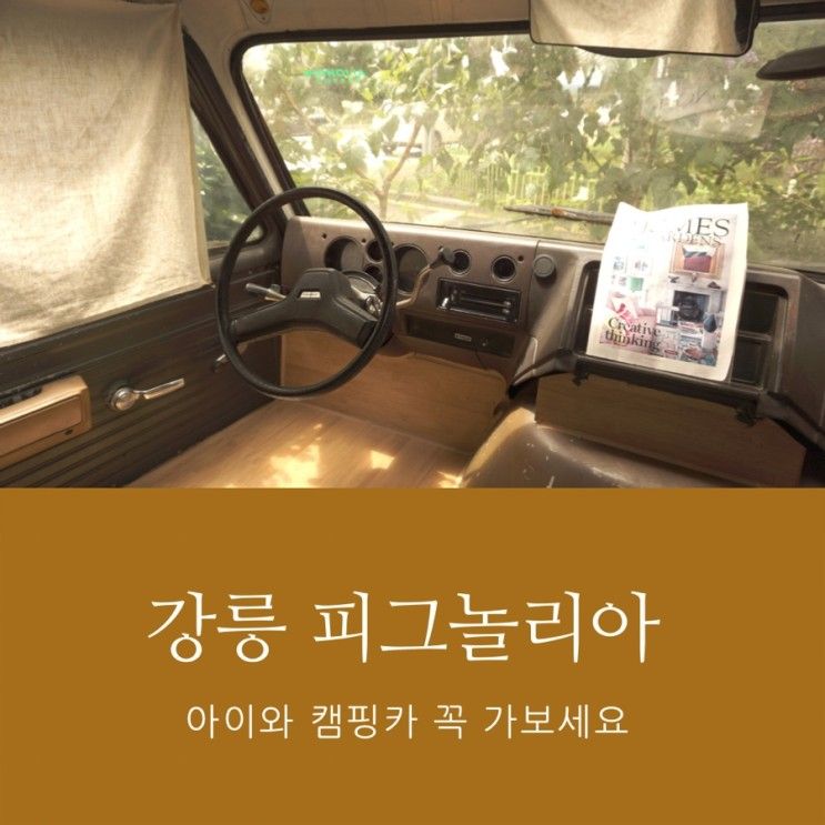 [피그놀리아] 강릉 아이와 가볼만한 캠핑카가 있는 카페 꼭 가보세요