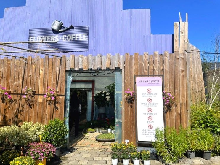 파주 피우리하우스 : 광탄면 벽초지수목원 근처 다육이 체험 카페
