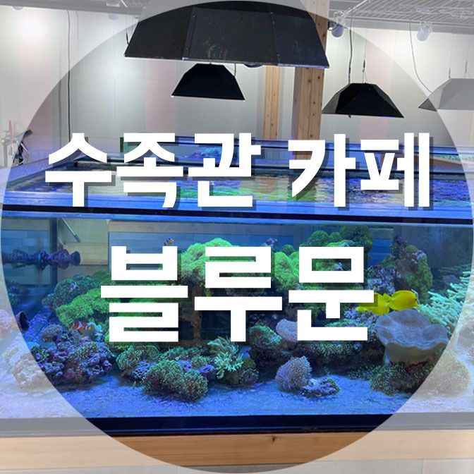 아이들이 좋아할만한 남양주 수족관카페 실내 이색데이트 블루문