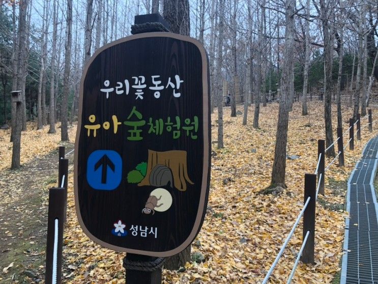 남한산성 유아 숲놀이터 가는길 아이와 가볼만한곳