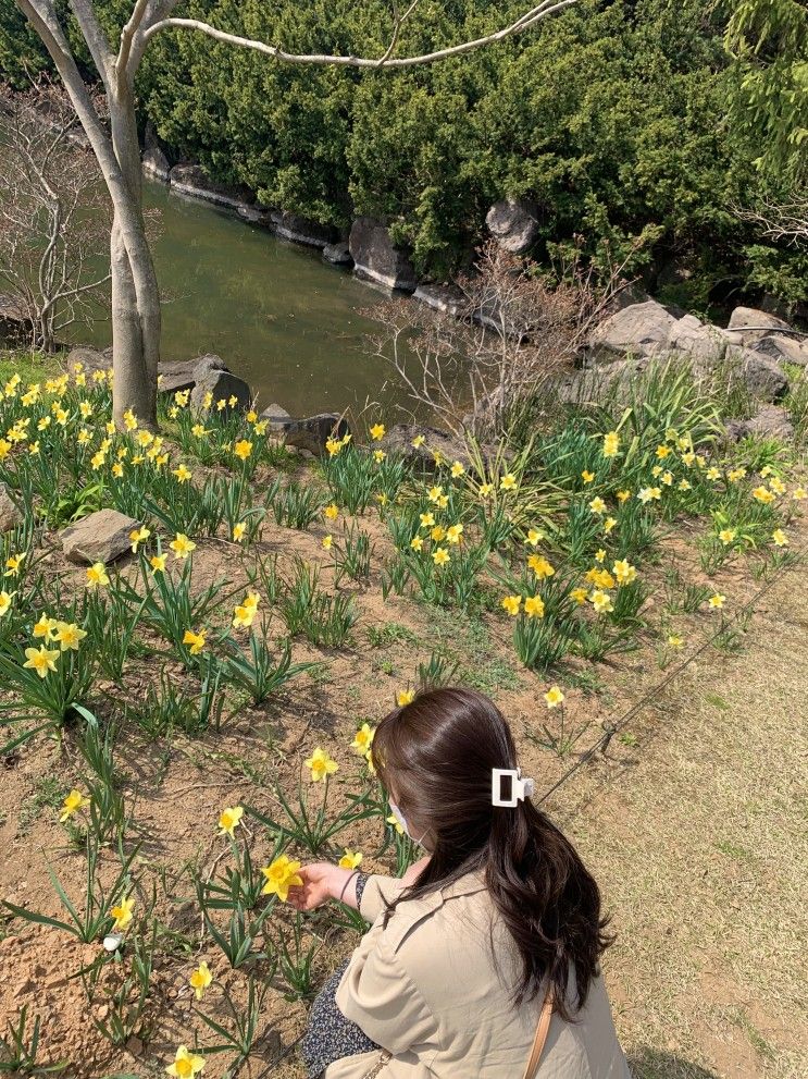 봄나들이🌸 소문난 장어, 파주 벽초지수목원, 피우리하우스 다육이 겟겟