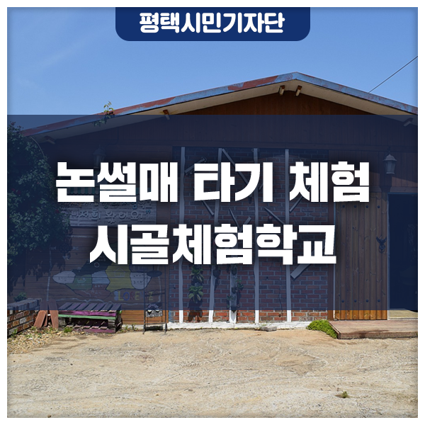 5월에만 가능한 논썰매 타기 체험 '로렌츠 감성 치유 시골체험... 