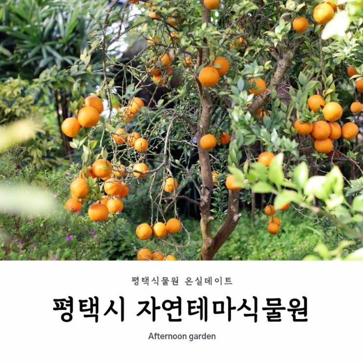 온실투어 | 평택시자연테마식물원 | 체험프로그램 정보포함