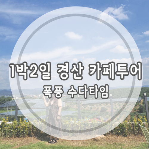 1박2일 경산 카페투어(파스마, 월화수, 청도 이에르바)