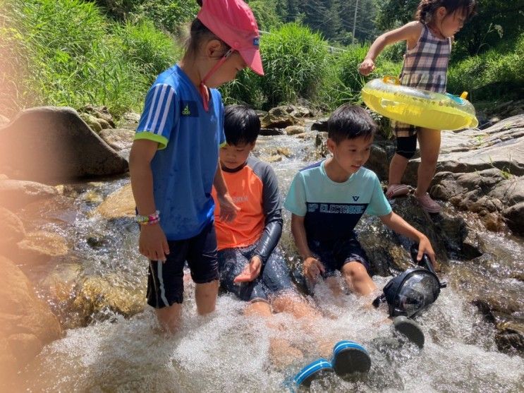 가평물골숲계곡오토캠핑장(6/19~20) - 계곡옆 캠핑장