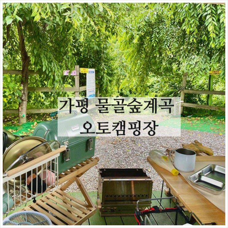 여름 계곡 캠핑장 추천 '가평물골숲계곡오토캠핑장'