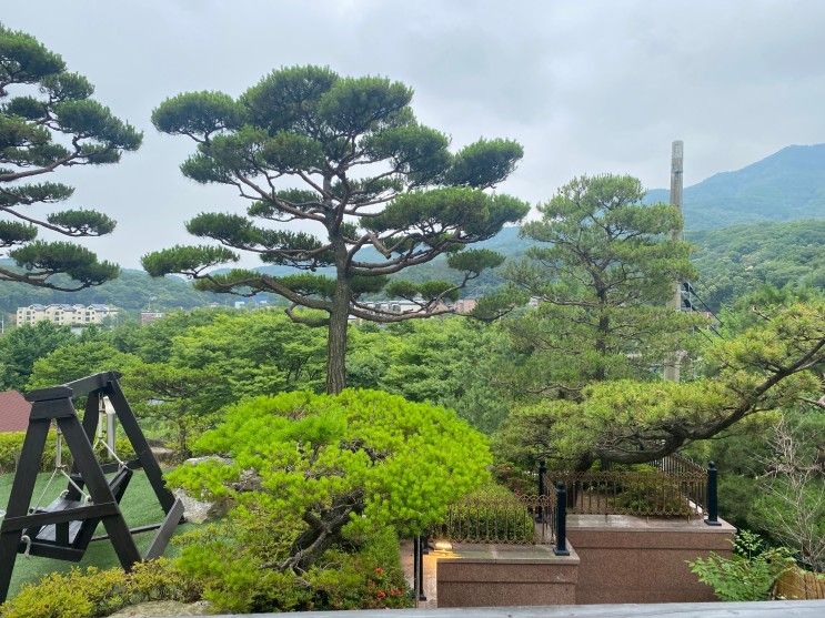 용인 수지 카페, 정원이 예쁜 안다미로 카페