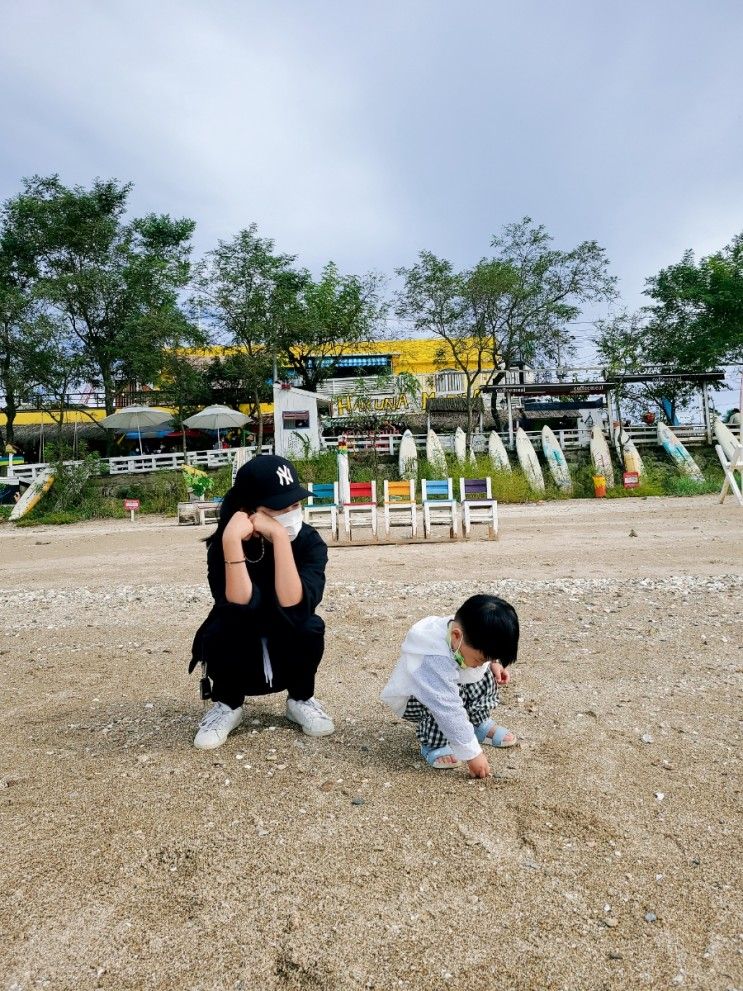 [아기랑선재도] 화성 할아버지동물농장. 선재도 뻘다방