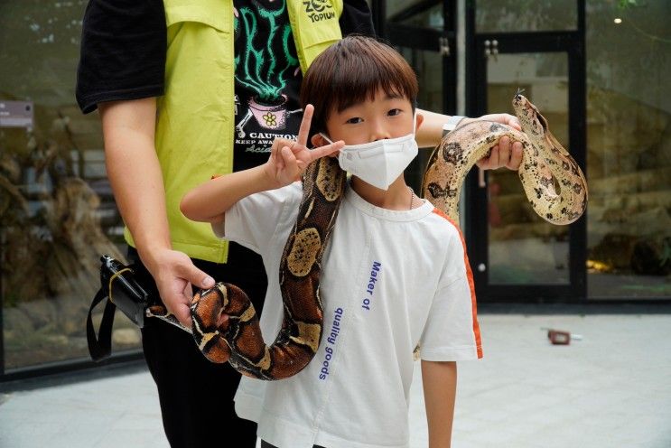 경북 안동 주토피움 7세 6세 아이들 가볼만한 곳