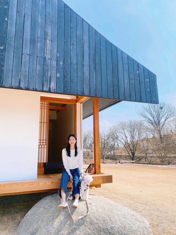 진천 뤁스퀘어 카페 강아지 실내 동반 가능