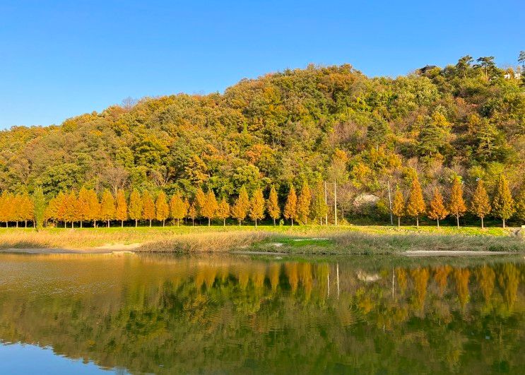 주말 오창 여행 : 뤁스퀘어, 진천농다리, 병천쌍둥이네순대... 