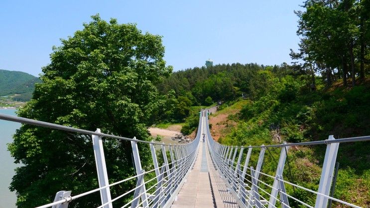 강진 여행 가볼만한곳 : 가우도 출렁다리 모노레일