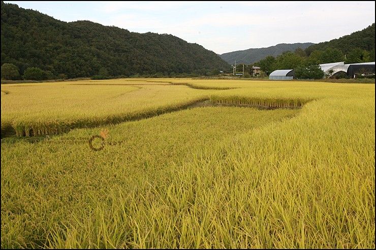 경기도여행] 양평 용문산 친환경농업박물관 무료관람