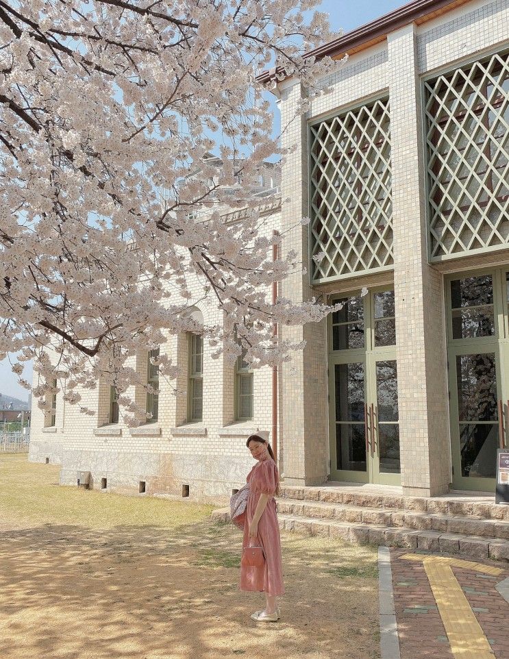 벚꽃이 아름다운 <국립기상박물관>