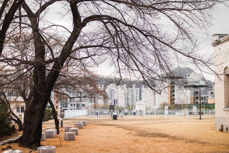 측우기가 남아 있는 곳, 서울 여행 명소 국립기상박물관 탐방기