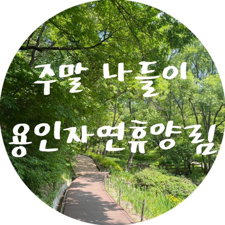 수원 주말 나들이 :: 용인자연휴양림