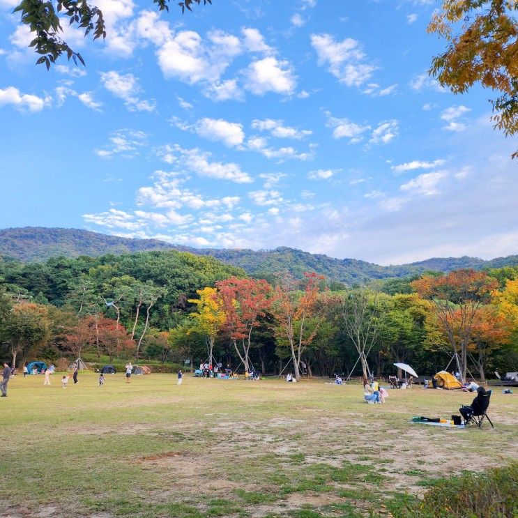 용인자연휴양림 텐트 치고 마음껏 뛰어놀기