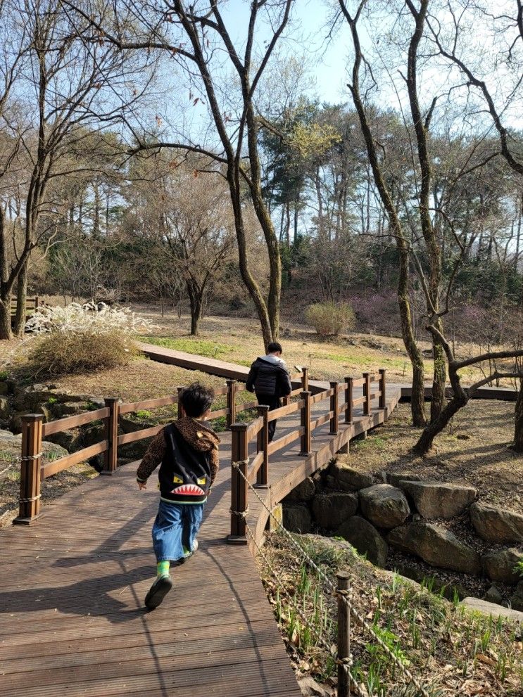 용인자연휴양림 체험골 1박후기&숲놀이터 즐기기