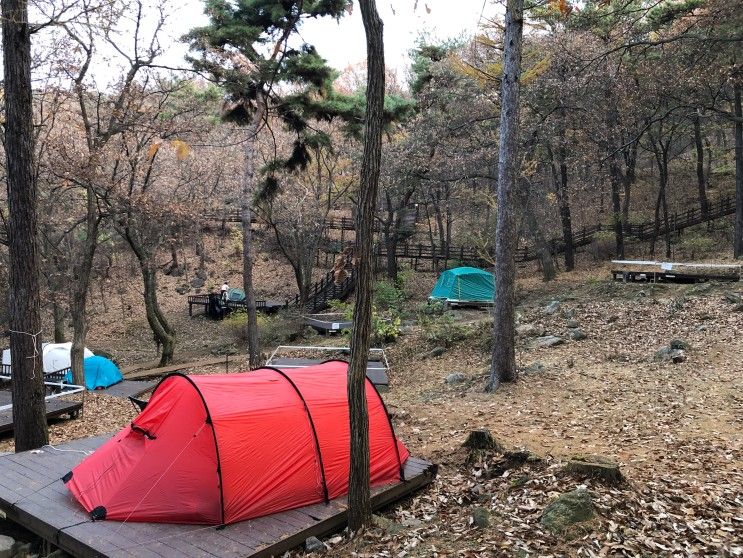 용인자연휴양림 야영장 데크정보