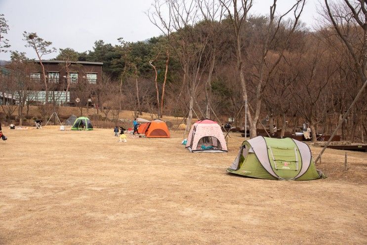 용인자연휴양림 텐트 짚라인&에코어드벤처 용인 가볼만한곳