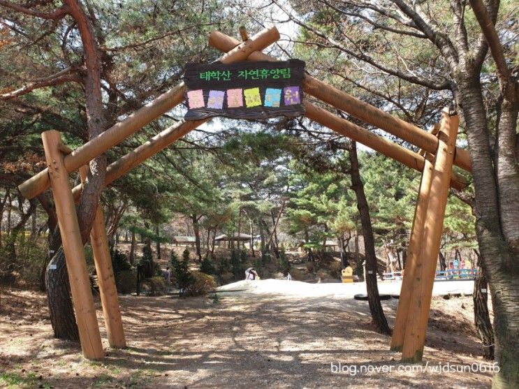[천안] 태학산 자연휴양림에서 캠핑과 유아숲 체험원에서 놀기!