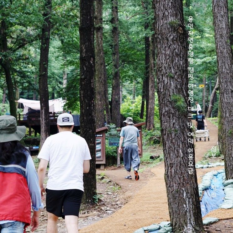 용인자연휴양림 캠핑 야영장 데크 및 예약 이용요금 정보... 