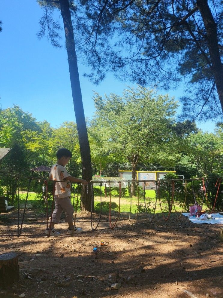 천안 태학산 유아숲체험원 (숲놀이터)