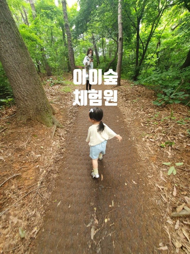천안 아이와 갈만한곳 유아숲 체험원