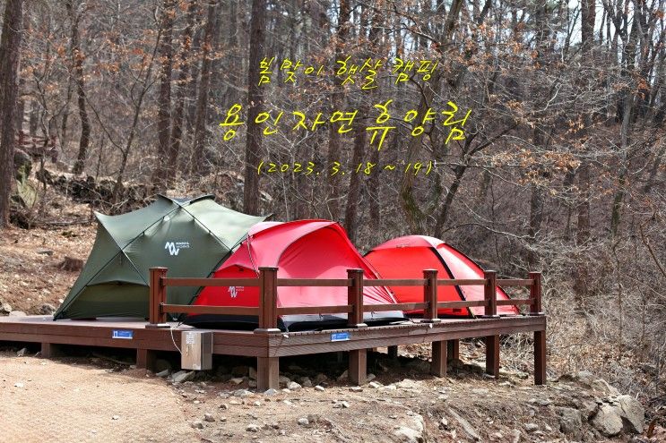 봄맞이 햇살 캠핑...용인자연휴양림 (2023. 3. 18 ~ 19)